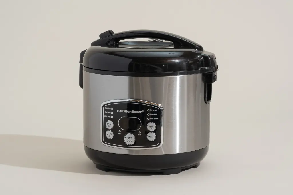Your Guide to Buy an Electric Cooker Under 100 That Shines